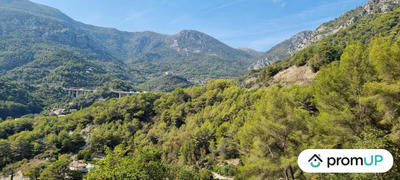 Terrain de loisirs - 2 048 m²