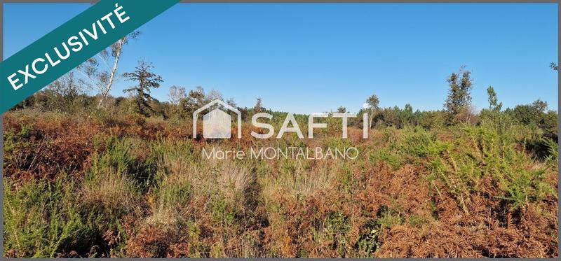 Terrain - 80 660 m²