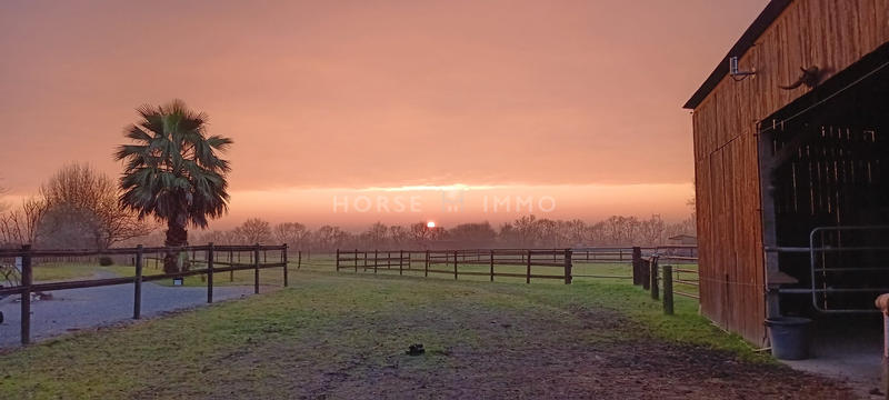 Maison - 146 m² - 5 pièces