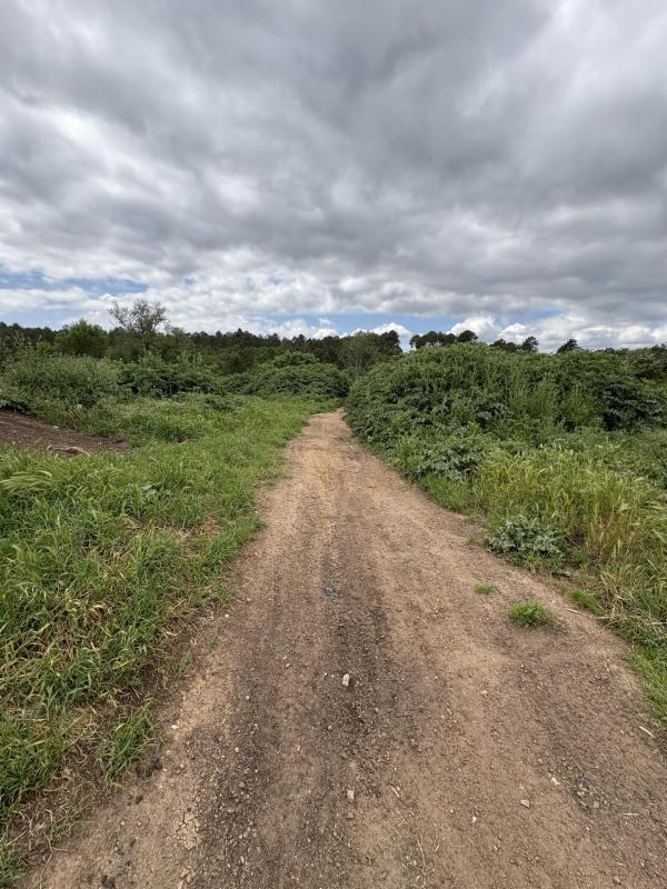 Terrain agricole - 80 000 m²