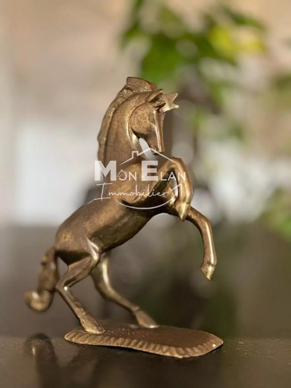 Maison - 420 m² - 10 pièces