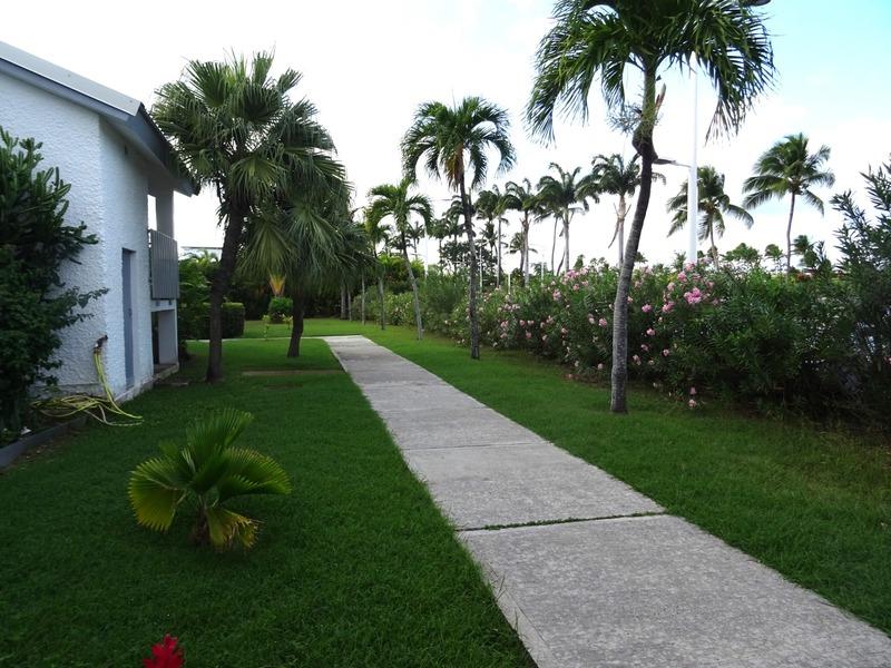 Appartement - 34 m² - 1 pièce