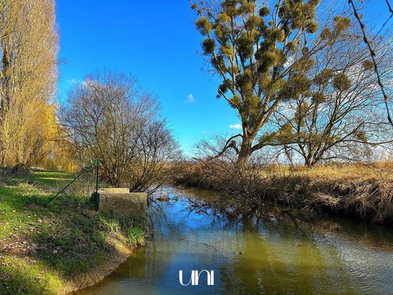 Maison - 175 m² - 6 pièces