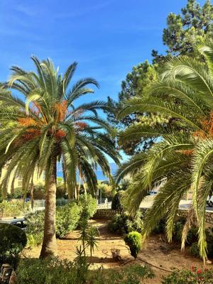 Appartement - 135 m² - 5 pièces