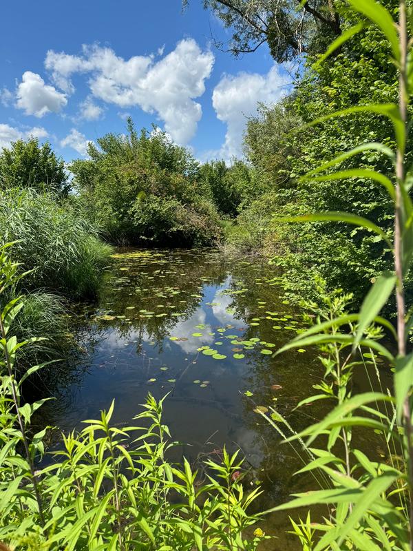 Randonnée pédestre