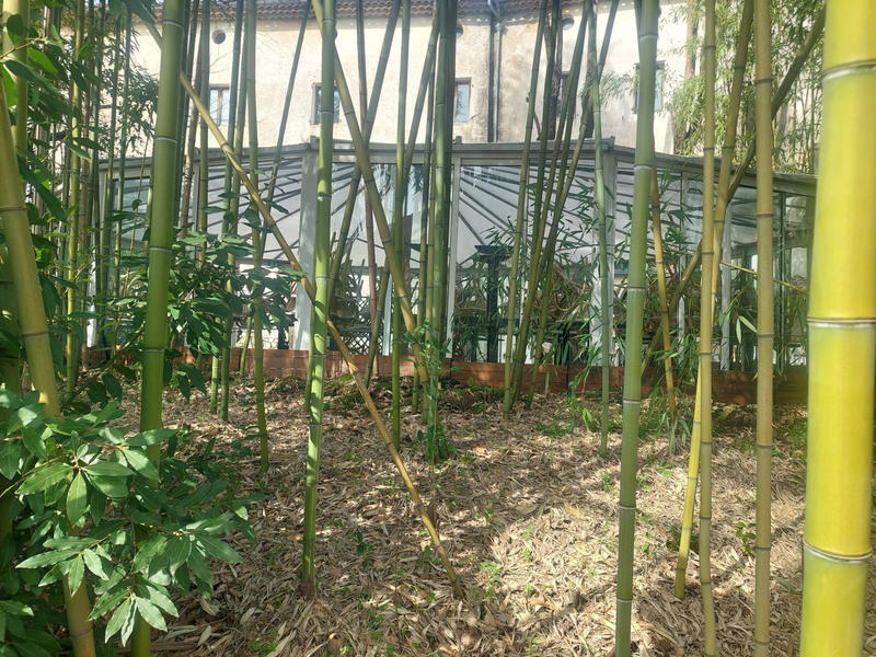 Fonds de commerce - Local commercial - 282 m²