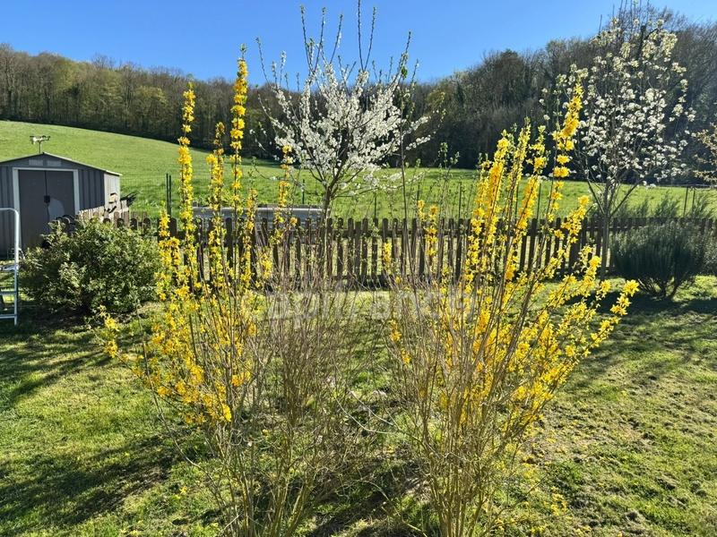 Pavillon - 99 m² - 6 pièces