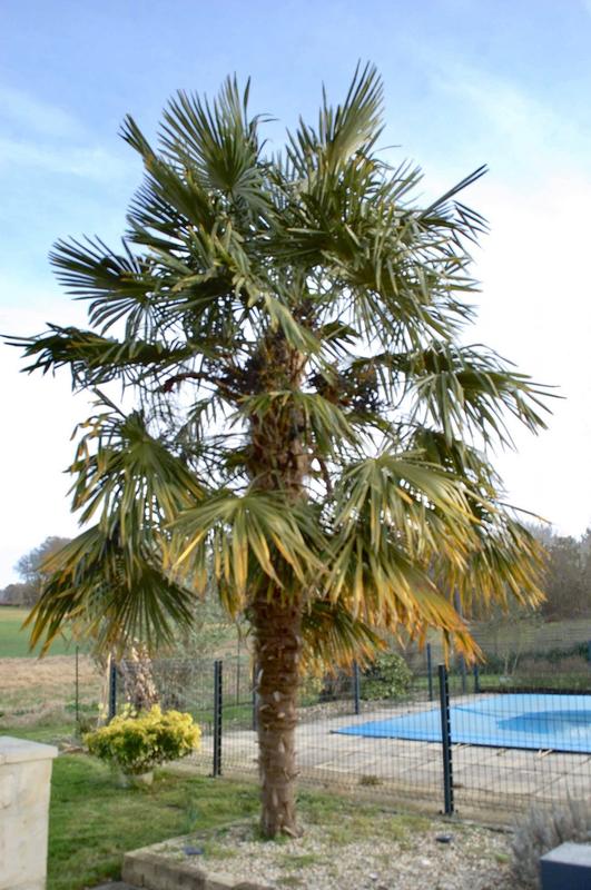 Maison ancienne - 210 m² - 10 pièces