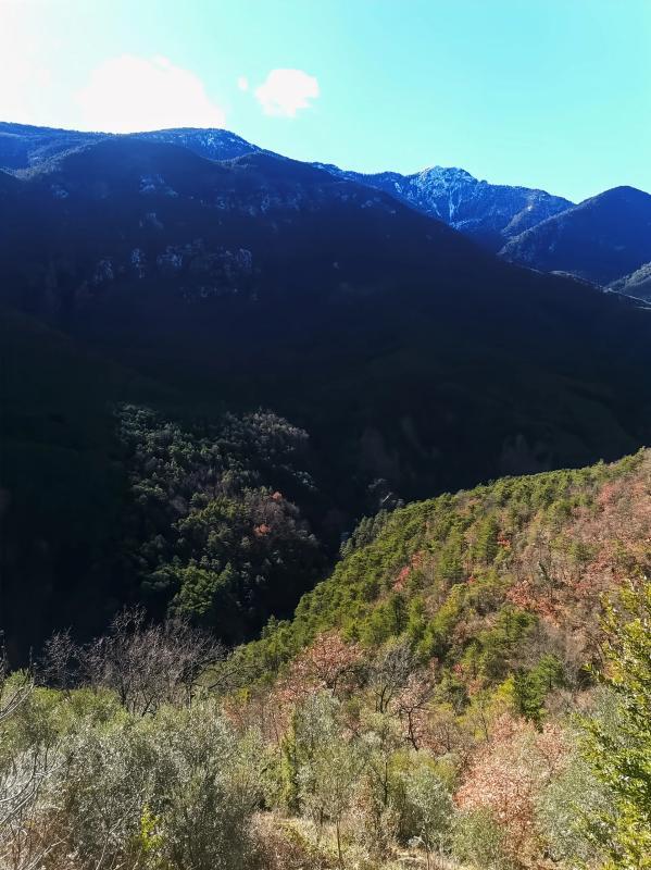 Mas - 100 m² - 4 pièces