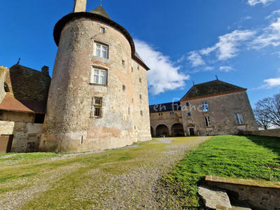 Château - 620 m² - 1 pièce