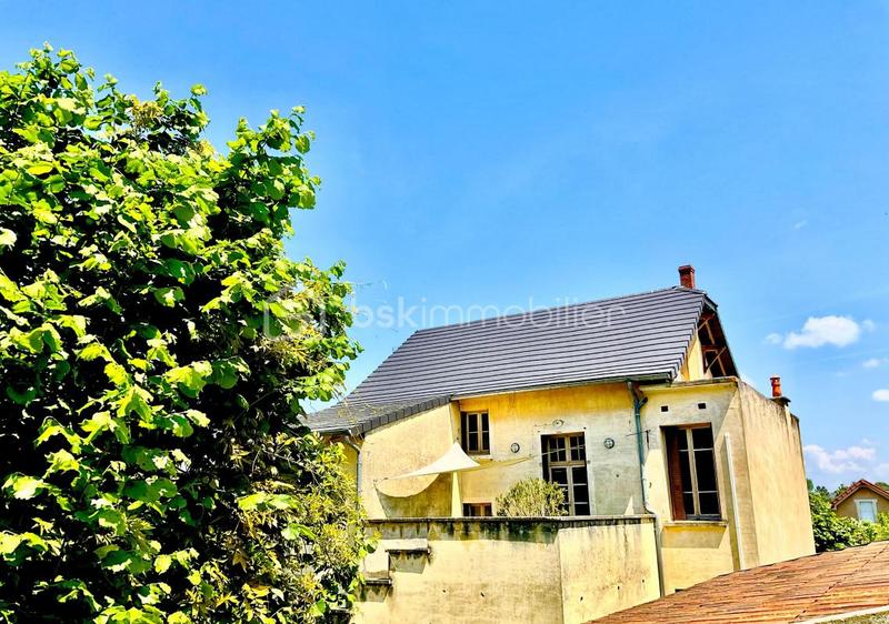 Maison de maîtres - 480 m² - 9 pièces