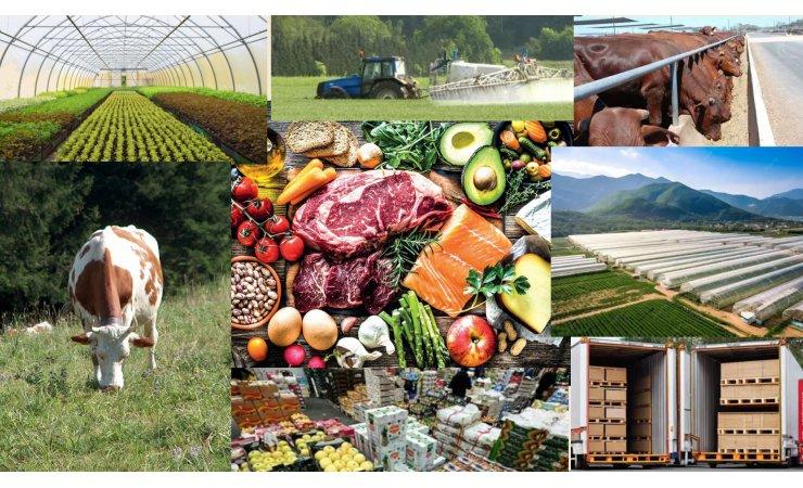 Conférence Ucp : l'impact environnemental de nos assiettes