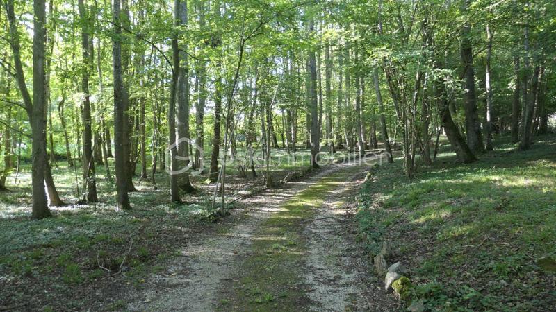 Maison - 310 m² - 7 pièces