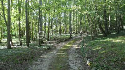 Maison - 310 m² - 7 pièces