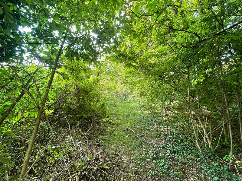 Maison de village - 66 m² - 2 pièces