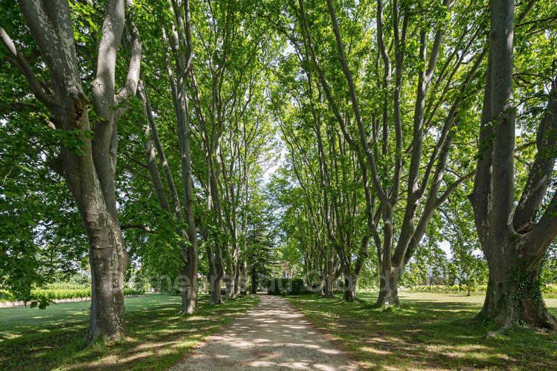 Maison de maîtres - 350 m² - 16 pièces