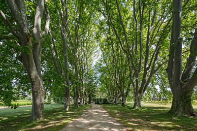 Maison de maîtres - 350 m² - 16 pièces