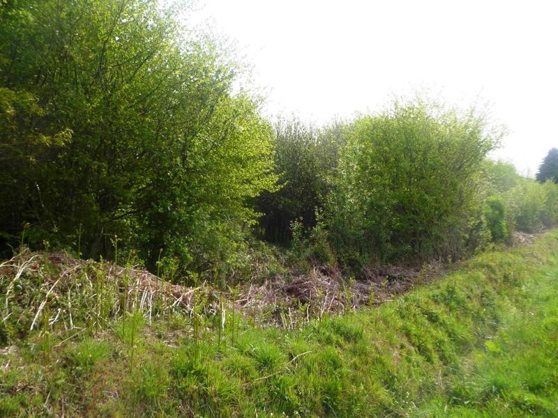 Longère - 100 m² - 2 pièces