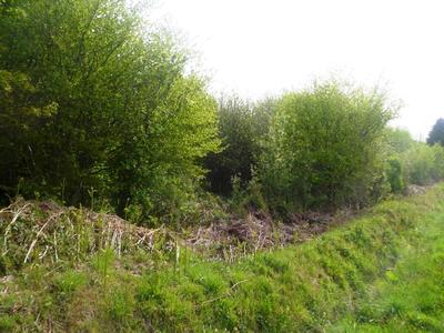 Longère - 100 m² - 2 pièces