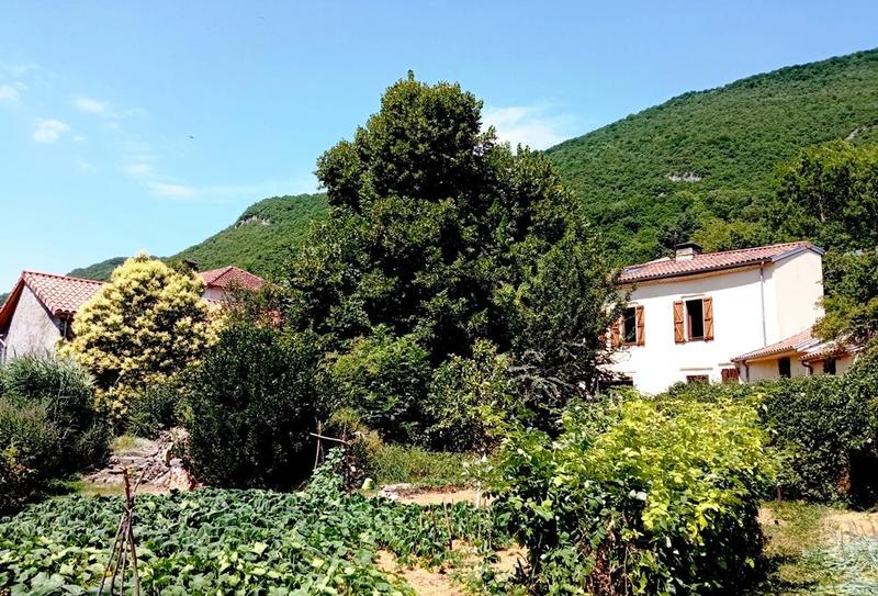 Maison traditionnelle - 180 m² - 7 pièces