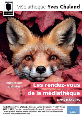 Les albums...Ce n'est pas que pour les enfants!