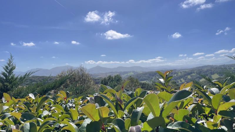 Maison - 192 m² - 6 pièces