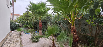 Maison - 200 m² - 6 pièces