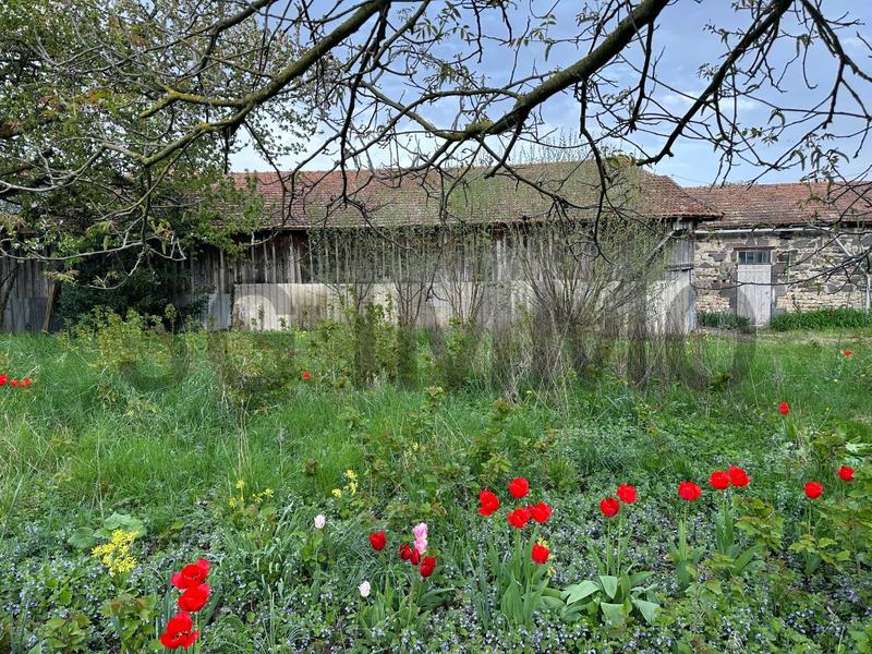 Maison - 77 m² - 2 pièces