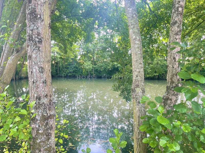 Maison - 345 m² - 7 pièces