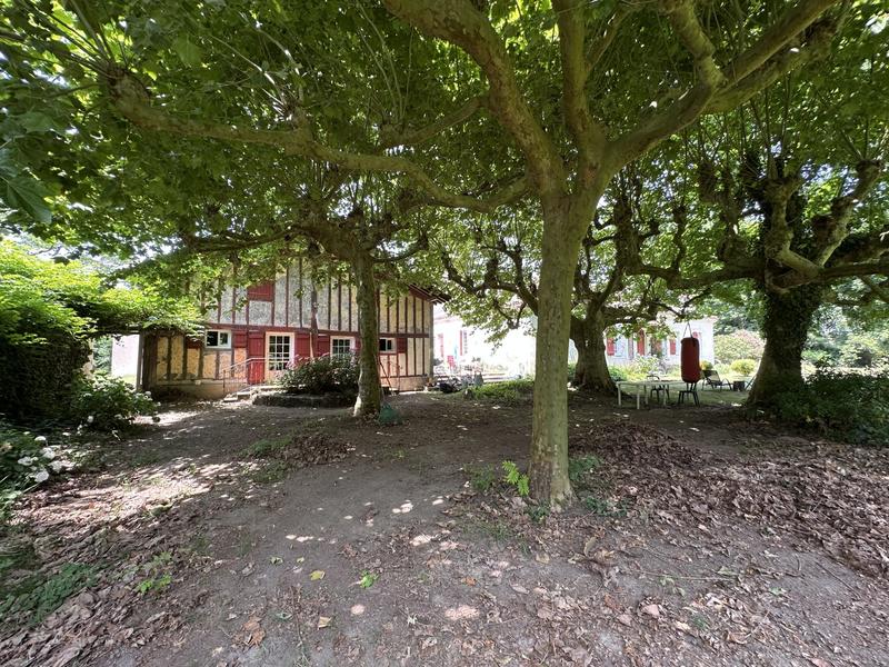 Château - 461 m² - 15 pièces