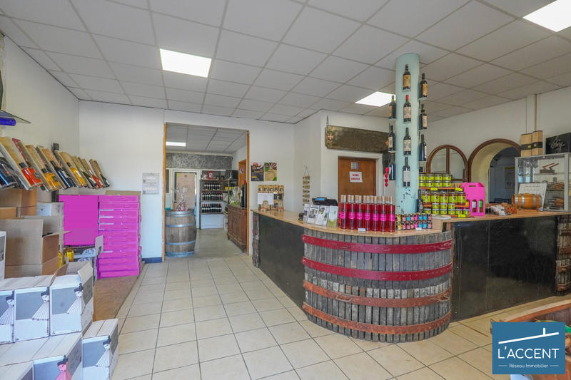 Château - 3 038 m² - 55 pièces