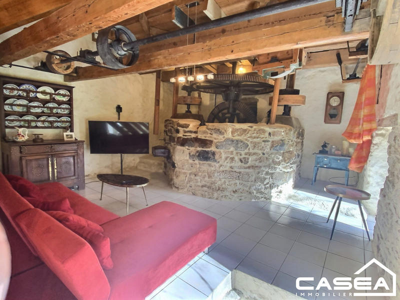 Maison ancienne - 300 m² - 15 pièces