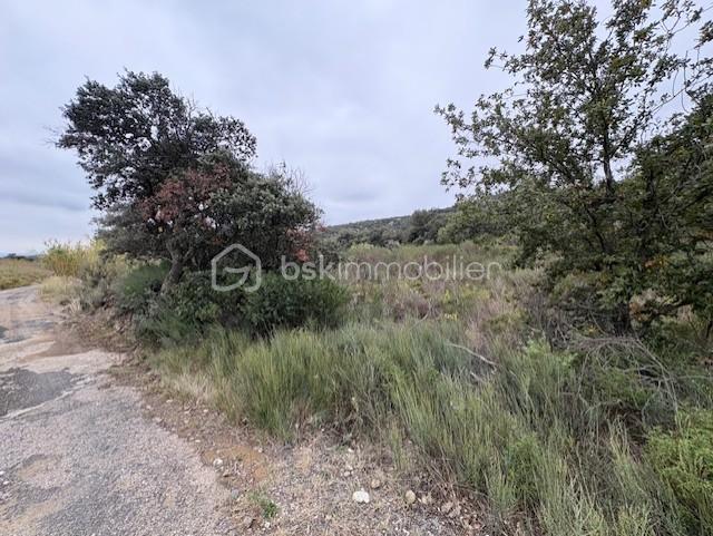 Terrain agricole - 10 160 m²