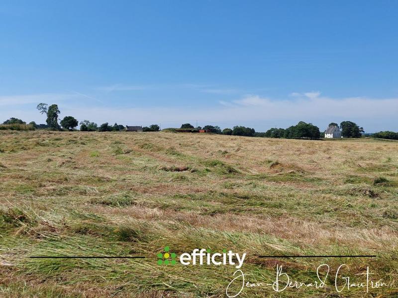 Ferme - 155 m² - 6 pièces