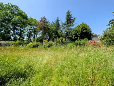 Maison ancienne - 110 m² - 4 pièces