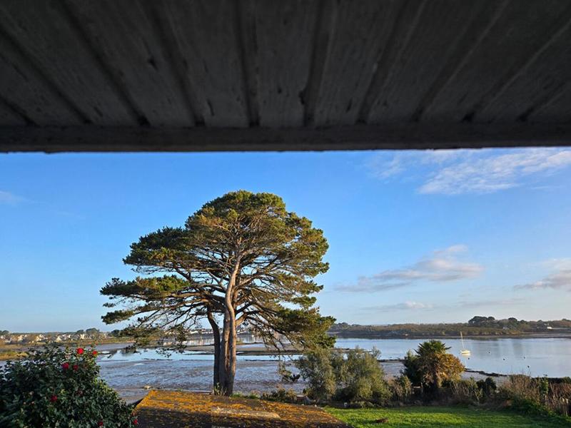 Maison en pierre - 84 m² - 4 pièces