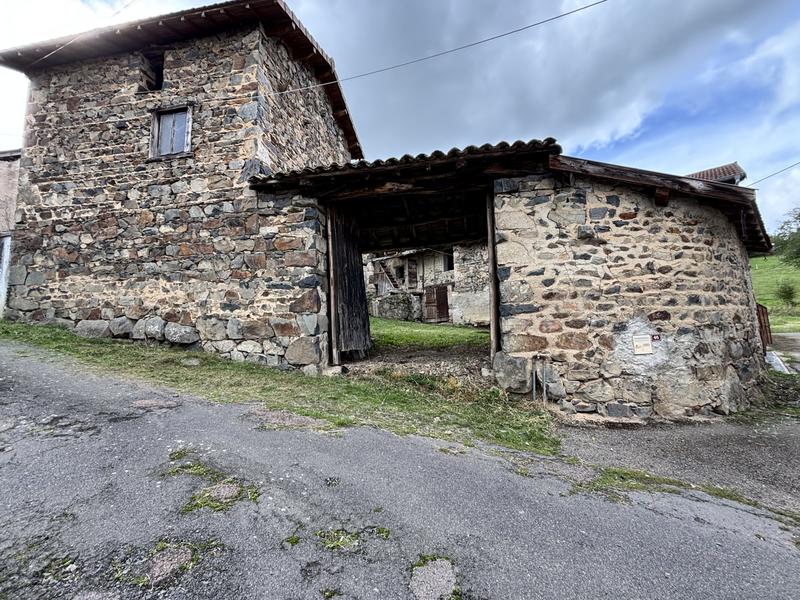 Maison ancienne - 300 m² - 6 pièces