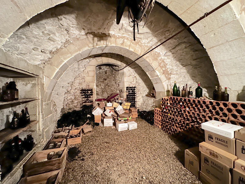 Château - 430 m² - 12 pièces