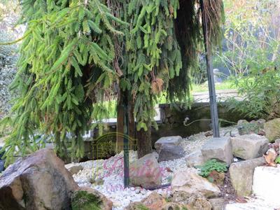 Maison - 60 m² - 3 pièces