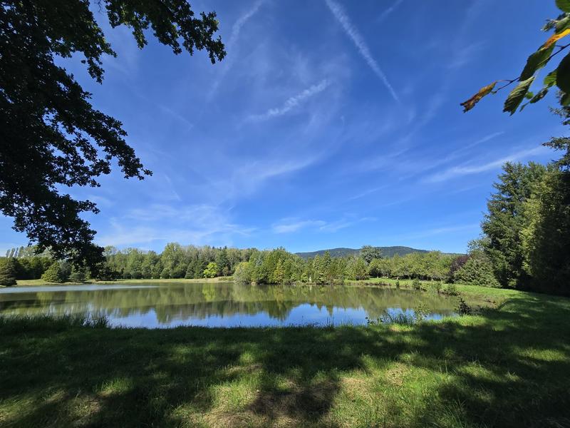 Étang - 43 885 m²