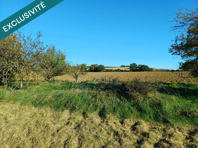 Terrain agricole - 1 699 m²