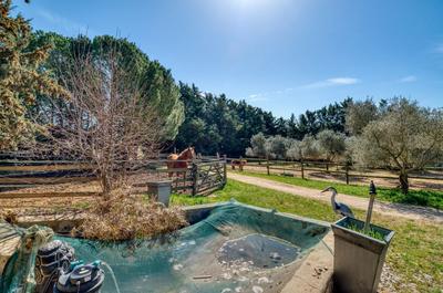 Maison de domaine équestre - 585 m² - 8 pièces