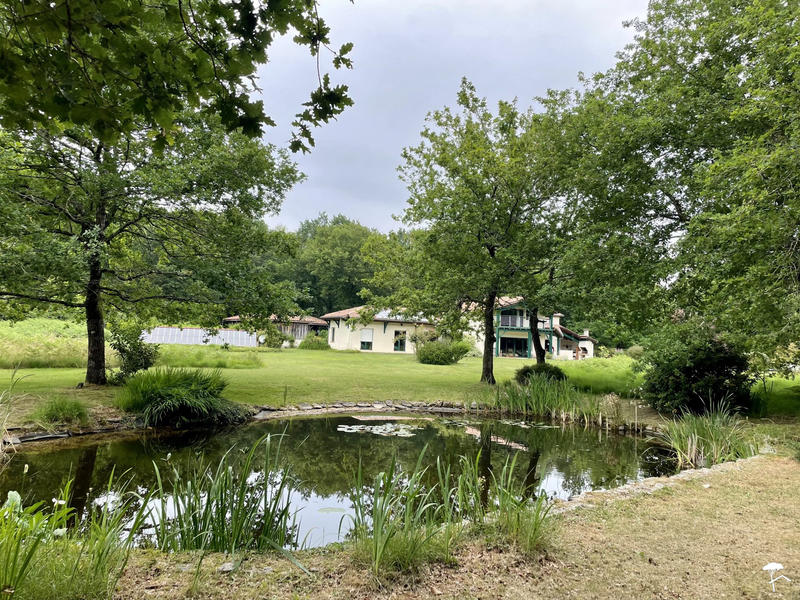 Maison contemporaine - 245 m² - 10 pièces