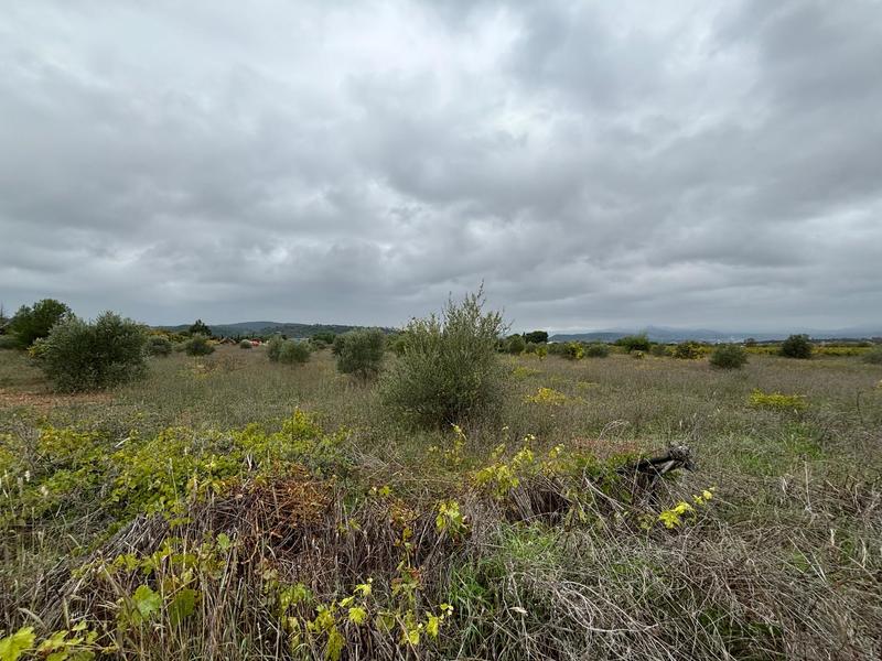 Terrain agricole - 12 476 m²