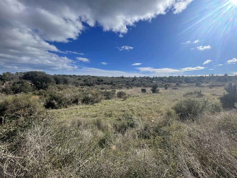 Terrain inconstructible - 6 683 m²