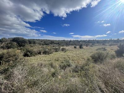 Terrain inconstructible - 6 683 m²