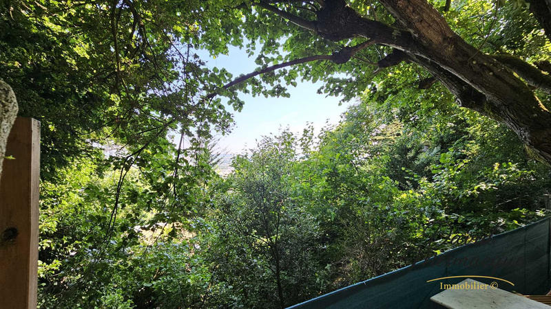 Loft - 54 m² - 1 pièce