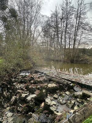 Moulin - 86 m² - 4 pièces