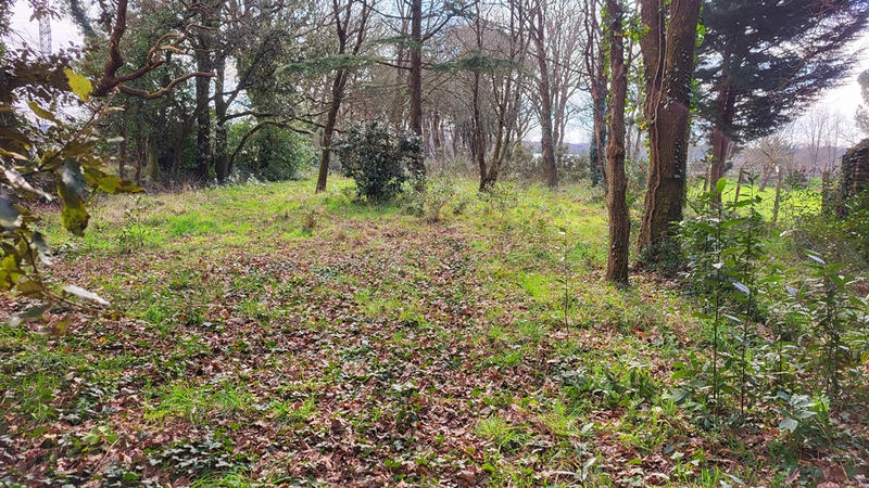 Maison - 330 m² - 14 pièces