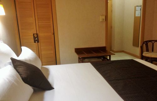 Inter Hotel Albi le Cantepau